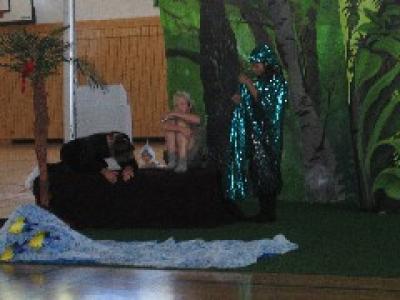 Bild 7