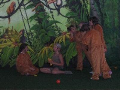Bild 14
