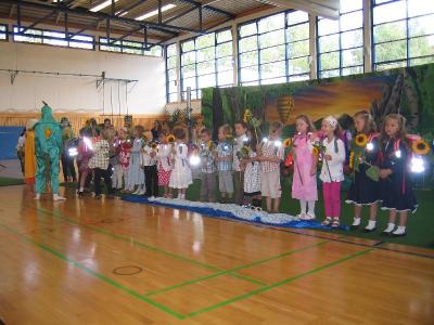 Bild 41